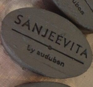 Sanjeevita