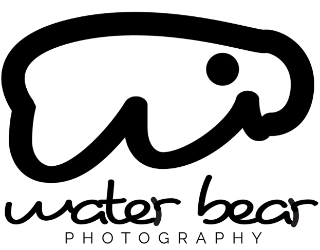 water bear logo