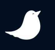 nightingale tech logo