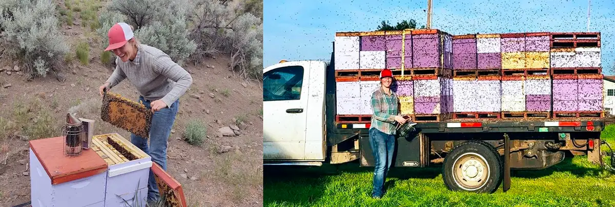 Brittany with her bee hives