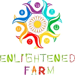 Non-Profit Grant Awarded to Enlightened Farm