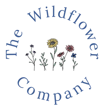 $10K Startup Grant Awarded to The Wildflower Company